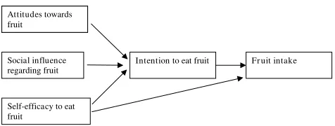 Figure 1The ASE-modelThe ASE-model. A model for determining factors predictive of fruit and vegetable consumption (adapted from Lechner, 