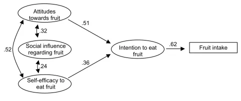 Table 5: Pearson's correlation between all scales for the Austrian and Spanish samples (Austrian data below the diagonal line, Spanish above)