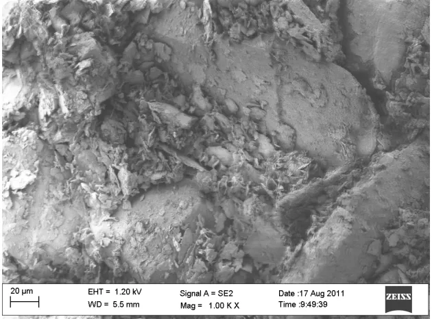 Figure 13. Scanning electron micrograph of talc concrete with Merit 5000 cement showing fibrous cement phases between aggregate particles