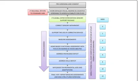 Fig. 2 Flowchart of the components of the field test
