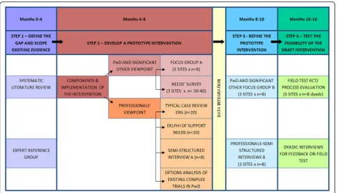 Fig. 1 Flowchart of the sequential and simultaneous steps in the research programme. Person with dementia is abbreviated as PwD