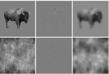 Figure 1 Sample stimuli. Columns show unfiltered, high-pass filtered, and low-pass 