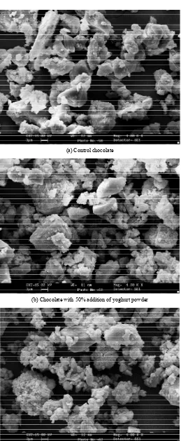 Figure 2. Scanning electron micrographs (SEM) of chocolates prepared with yoghurt powder (Mag