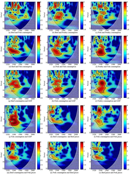 Figure 3. Estimated cross-wavelet transforms (XWT) of the time-series growth rates. The x-axis represents time in years, while the y-axis shows period in years