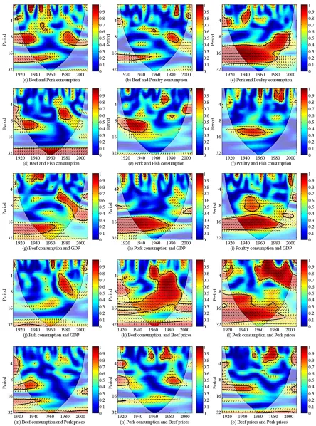 Figure 4. Estimated wavelet coherences (WCT) of time-series growth rates. The x-axis represents time in years, while the y-axis shows period in years