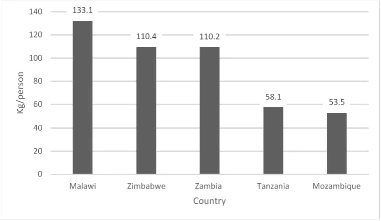 Figure 1: Per capita maize consumption for Malawi,1974-2009