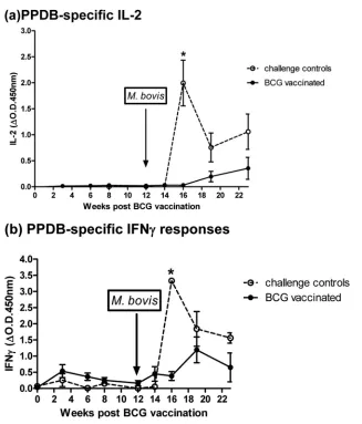 FIG 4 IL-2 (a) and IFN-� (b) responses to PPDB following BCG vaccination and then challenge with M