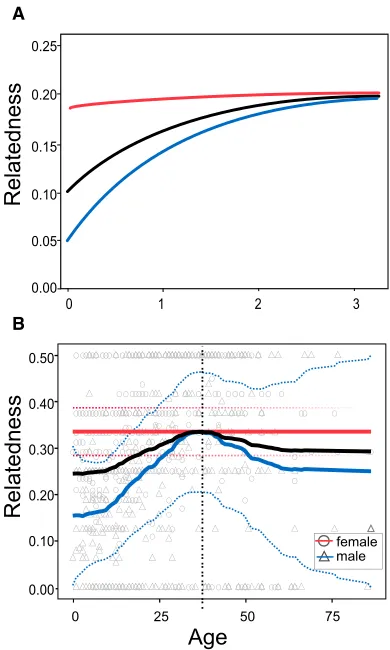Figure 1. Age Changes in Local Relatedness(A) Theoretical predicted relationship between female age (scaled relative tomean generation time) and mean relatedness to other females (red line) andmales (blue line) within the same matriline taken from the prev