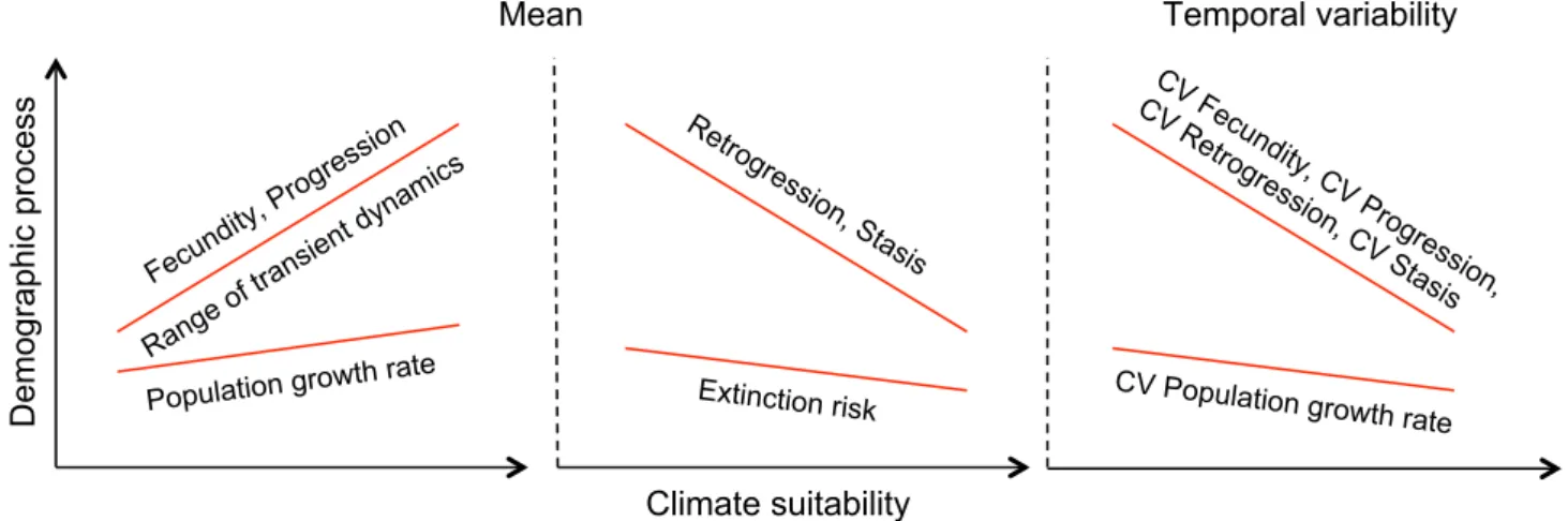 Figure 2 Na €ıve expectations of relationships between predicted climate suitability and mean and temporal variability of integrated population performance metrics and underlying demographic processes