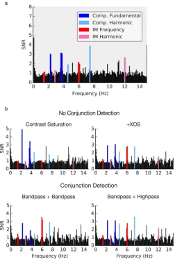 Figure 7. SNR Spectra for (a) EEG data and (b) model datawithout an NIR being applied