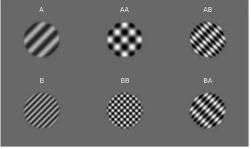Figure 1. Grating/plaid examples. Left: Grating componentalone examples. Middle: Coherent plaid examples