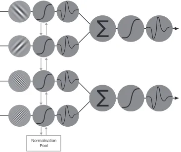 Figure 2. Model schematic displaying how contrast input was transformed within each layer