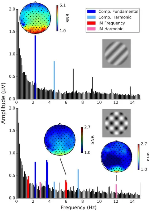 Figure 4. Example Fourier amplitude spectra with SNRtopographies. Top: Grating component A1 alone with funda-fmental SNR topography