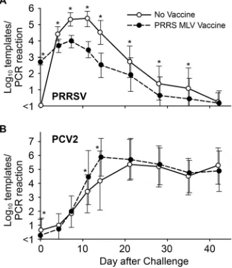 FIG 1 Distribution of viremia at 11 days after vaccination with PRRS MLV.Shown are PRRSV RT-PCR results for 84 pigs in the vaccine group.