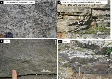 Figure 3.2: Sedimentary lithofacies of the Bar River Formation. White arrows indicate tops