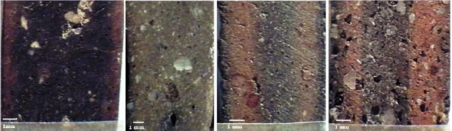 Figure 3. Photo of the cross sections of some shards from the sites (×13). 