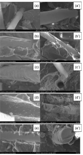 Figure 5. SEM photographs of the samples 1# - 5# before aging and after aging 1200 h at 150˚C; (a) 1#, (b) 2#, (c) 3#, (d) 4# and (e) 5# for the samples before aging, (a’) 1#, (b’) 2#, (c’) 3#, (d’) 4# and (e’) 5# for the samples after aging 1200 h at 150˚