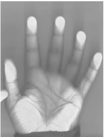 Figure 2: An incorrect scan: Lines are not visible. 