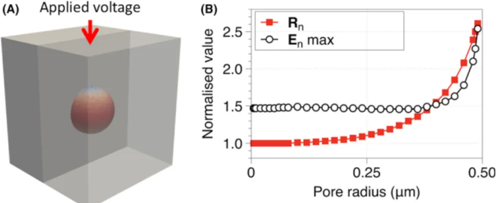 Figure 3B. The existence of the smallest pore generated (5 nm) initially generates an increased E n ,max within the