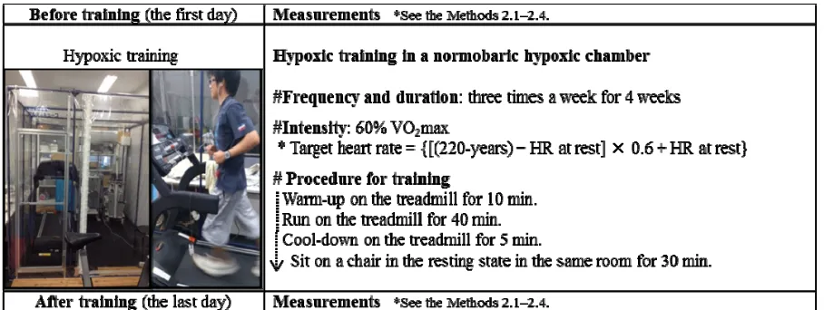 Table 4 shows the mean differences between recogni-tion of exercise intensity and relative HR