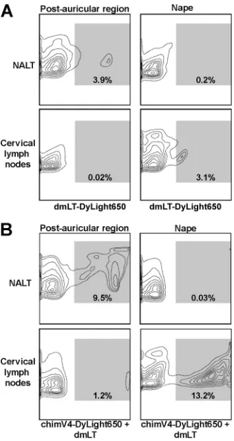 FIG 3 Directional migration of CD11cand quantitated as the percentage of CD11cNALT after immunization in the postauricular region and within the cervicallymph nodes after immunization at the nape; therefore, the anatomical site ofband-aid vaccine placement