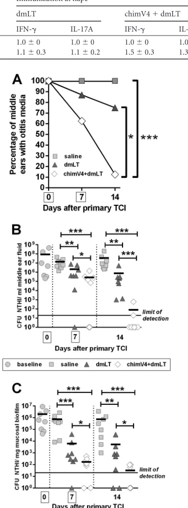 TABLE 1 Fold increases in IFN-�- and IL-17A-speciﬁc mean ﬂuorescent intensities within CD4� T cells collected from NALT and cervical lymphnodes of animals immunized with dmLT or chimV4 plus dmLT versus saline