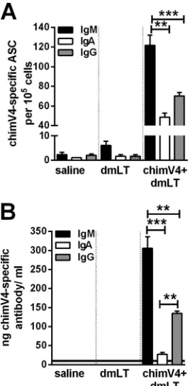 FIG 5 Quantitation of chimV4-speciﬁc antibody-secreting cells isolated frombone marrow with an enzyme-linked immunospot assay (ELISPOT) (A) andchimV4-speciﬁc antibodies in middle ear ﬂuid samples by quantitative slotblot analysis (B) after TCI with a band-