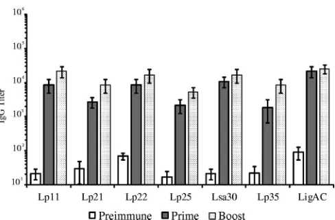 FIG 2 Antibody responses induced in hamsters after immunization with therecombinant proteins