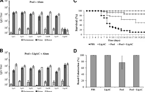 FIG 3 Antibody response and protective immunity induced in hamsters after immunization with recombinant proteins plus alum as an adjuvant.Hamsters were subcutaneously immunized twice with the pool of recombinant protein, at an interval of 15 days