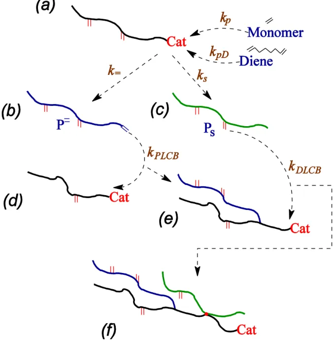 Figure 1. Schematic reaction scheme for ethylene-diene copolymerization with a metallocene  catalyst:  (a)  propagation,  (b)  termination  with  a  terminal  double  bond  (macromonomer),  (c)  termination with a saturated chain end, (d) incorporation of 