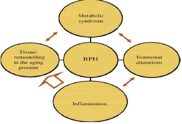 FIGURE 13:PATHOGENESIS AND RISK FACTORS OF BENIGN 