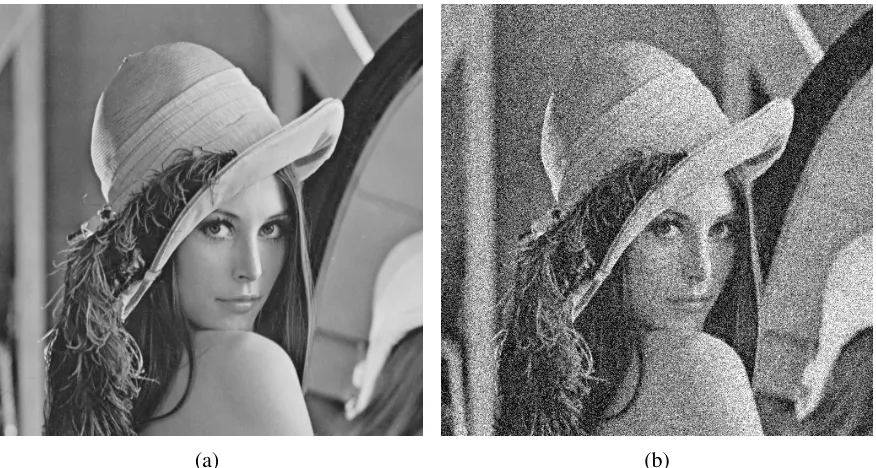 Figure 2.3: Example of Salt-and-pepper Noise. (a) Original Lena Image. (b) Salt-and-Pepperadded with density = 0.25