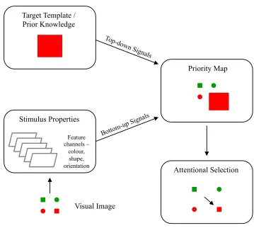 Figure 2. The visual priority map. Illustration of the theoretical visual priority map and 