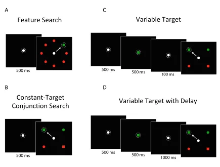 Figure 4. Behavioural search paradigms. (A) In the feature search task, the target was 