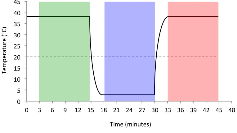 Figure 5. Cortical cooling timeline. Each 45-minute session was divided into three 