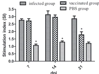 FIG 3 Stimulation index of chicken lymphocyte samples determined by pe-received 2ripheral lymphocyte proliferation assay using soluble antigen