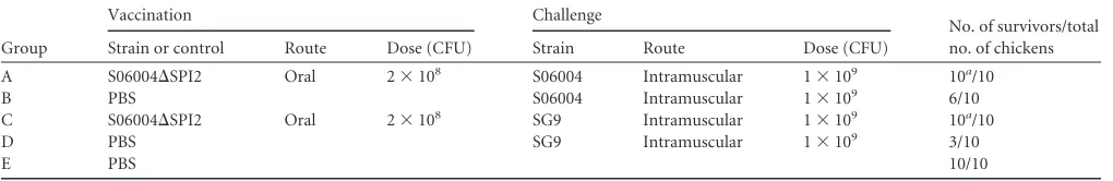 TABLE 2 Protective efﬁcacy of mutant S06004�SPI2 in chickens