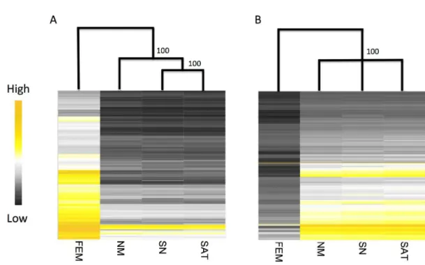 Figure 2. Hierarchical clustering and heat maps based on average within-morph expression 734 