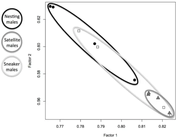 Figure 3. Factor analysis of three male morphs based on normalized RPKM values for all 742 