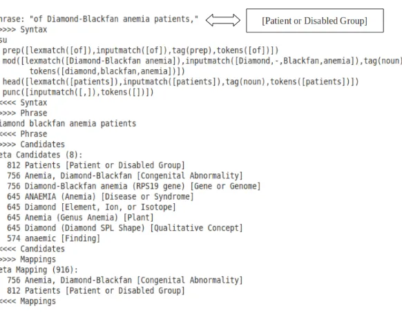 Figure 5: Analyzer Example