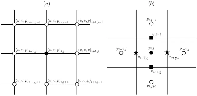 Figure 2. Computational meshes: (a) co-located computational mesh; (b) staggered mesh.