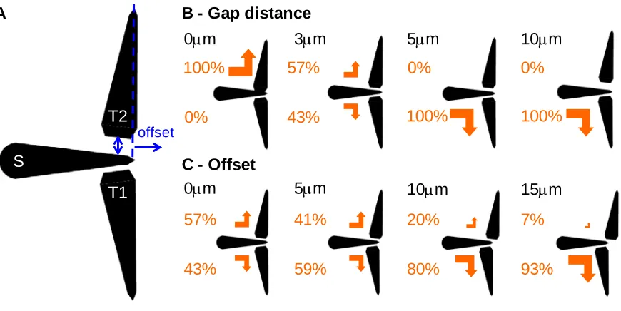 Figure 3.  The effect of splitter design features on the directional bias.  (A) Cells jumping 