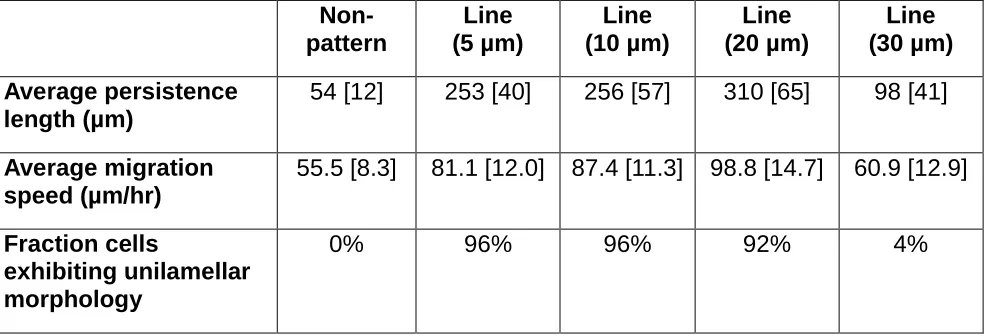 Table 1.  Enhanced motility of MCF-10A epithelial cells on line patterns.  Both the 