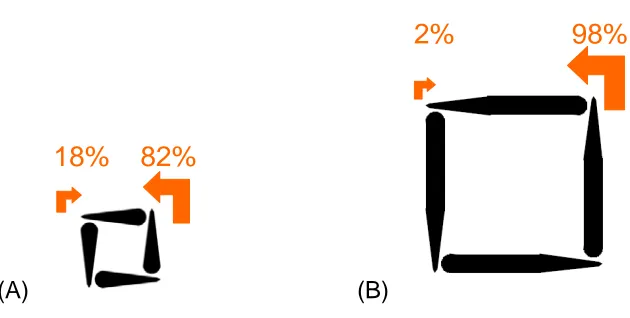 Figure 1. Schematic and directional bias of (A) teardrop and (B) spear-shaped patterns