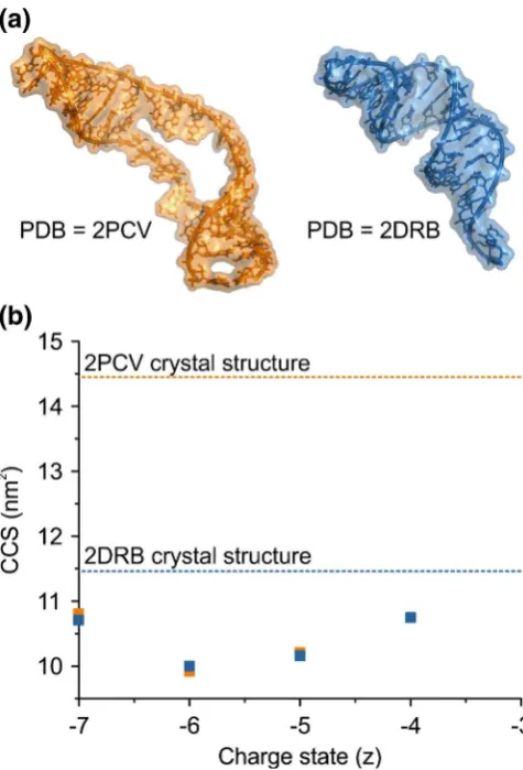 Table 1. The Molecular Masses, Sequences, and Predicated CCSs of the Two 35-Nucleotide RNAs: 2PCV and 2DRB