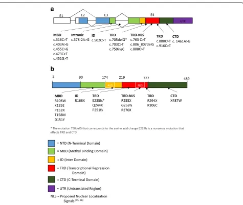 Fig. 1 Schematic of the gene structure and protein structure of MECP2. Gene structure (a) and protein structure (b) annotated with themutations present from the different transcriptomic studies