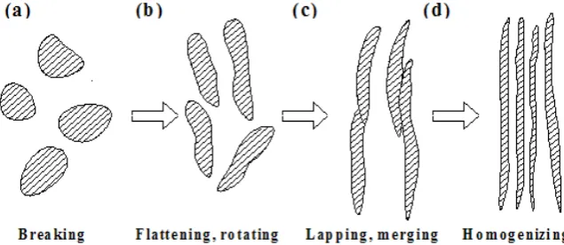 Figure 2. Schematic diagram of formation of fibres in deformation-processed Cu-based in situ composites along the longitudinal section: (a) breaking of dendrites; (b) flattening 