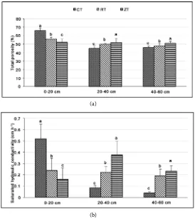 Figure 5. Percentage of emerged seedlings of maize for the three tillage 