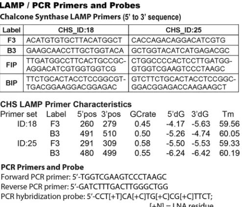 FIG 2 The 5=-to-3= sequence of the LAMP template. The annealing sites forthe ID:18 F3 and B3 primers are underlined, while the annealing sites for theID:25 F3 and B3 primers are shaded