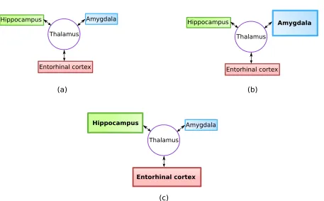 Figure 1.3: Hypothesis of multiple independent generators in TLE. a) a situation where all threestructures contribute equally to the seizure